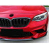 Voorlip compatibel met BMW M2 F87 glanzend zwart
