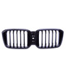 Grill kidneys for BMW X3 G01 X4 G02 LCI single line